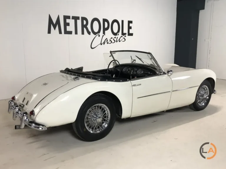 Swallow Doretti – Metropole - Image 04 (March 21, 2026)